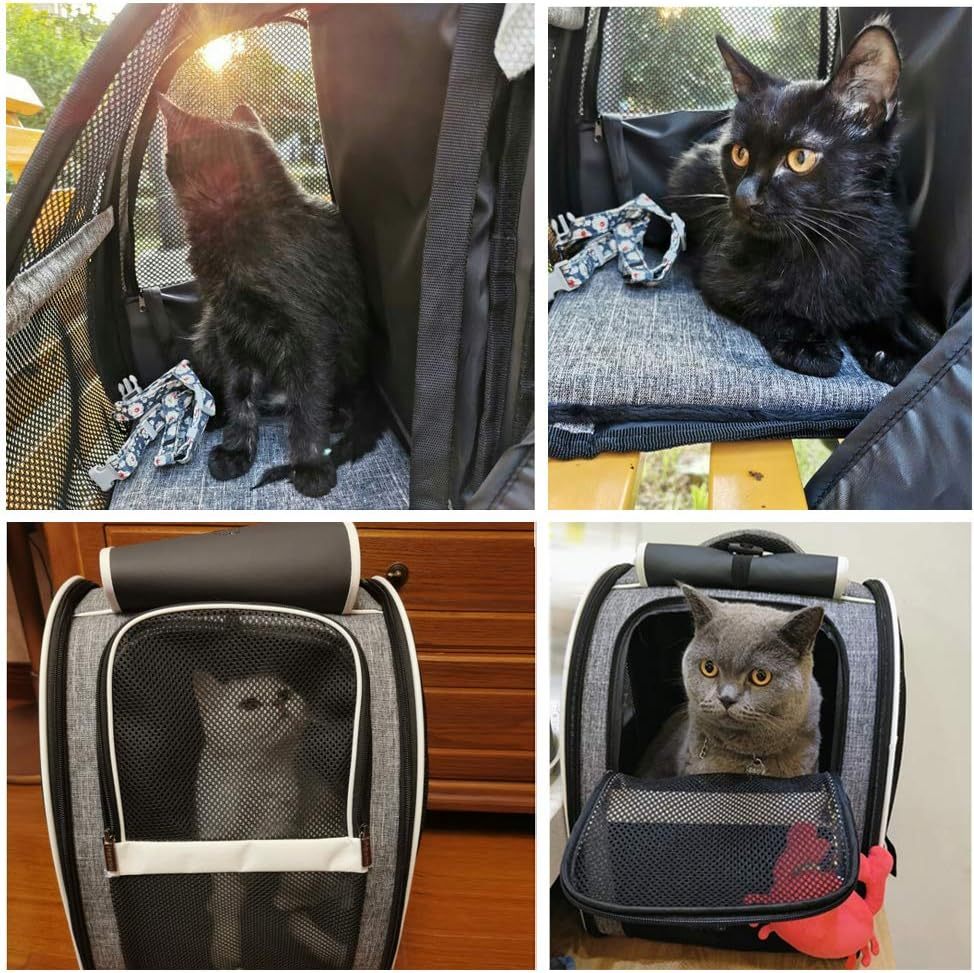 Innovative Traveler Pet Carrier